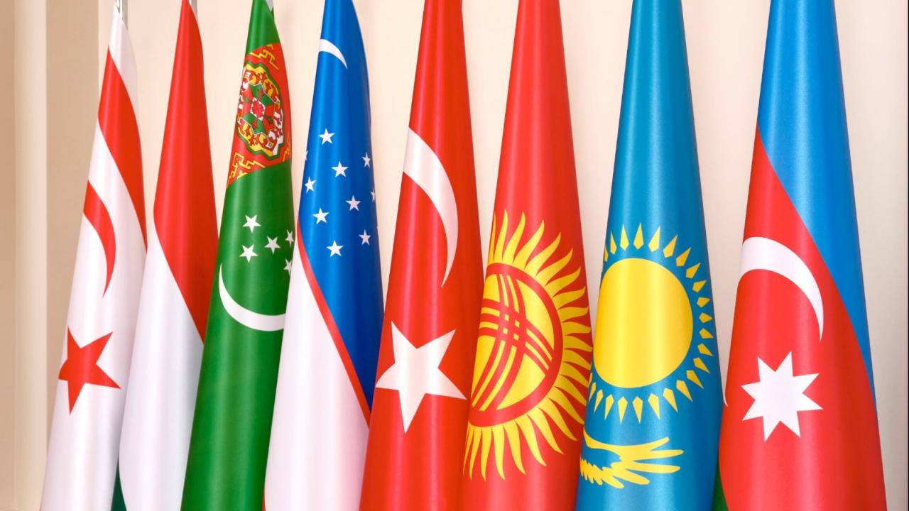 Türk Devletleri Teşkilatı Ziyareti
